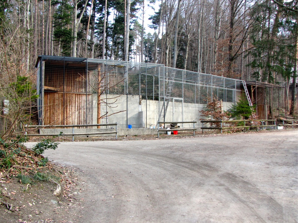 KOE_News Wildpark 2015-03 27.jpg