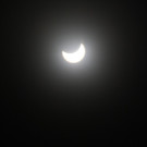 IMG_0559.JPG