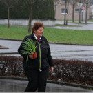 Entstehung erste Blumenwiese