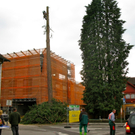 BK_baum_jpg-1274106861
