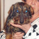 normal_Tinka16_28229.jpg