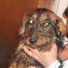normal_Tinka16_28429.jpg
