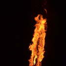 DSC_8095.JPG
