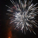 DSC_8295.JPG