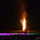 DSC_8327.JPG