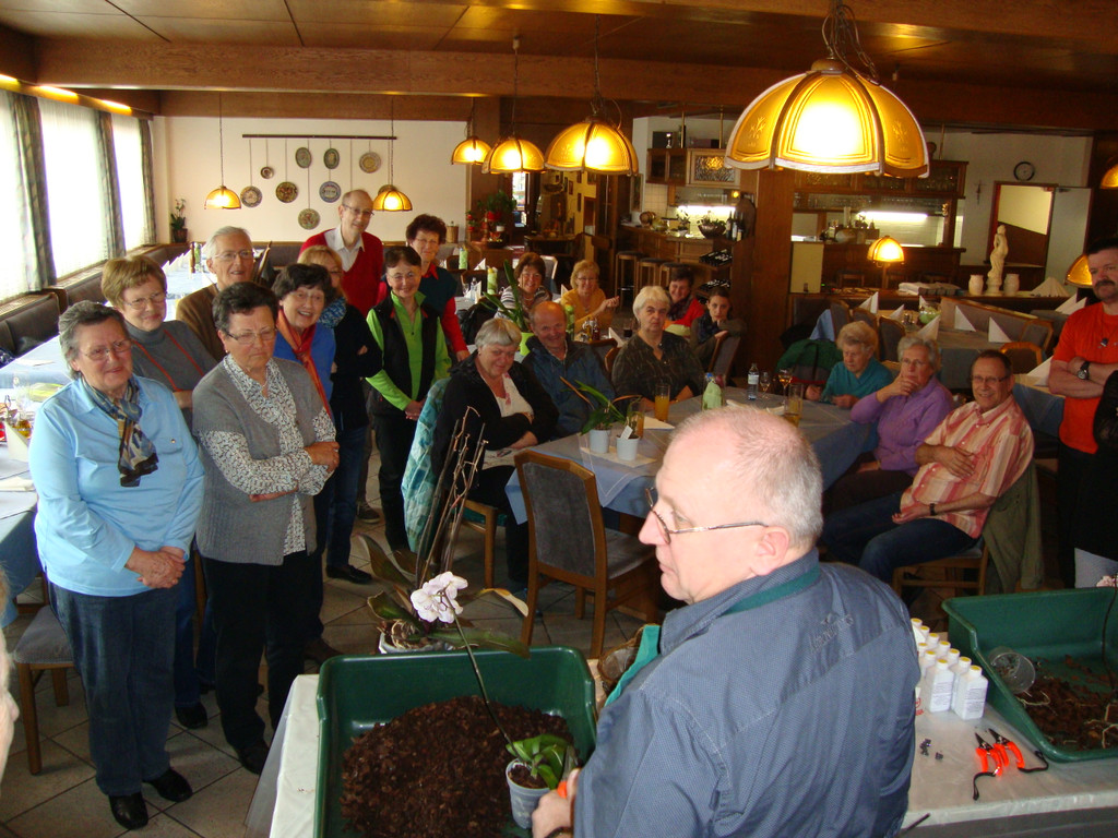 Orchideen pflegeleicht Teil 2 011.JPG