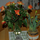 Schutzwaldtagung in Doren
