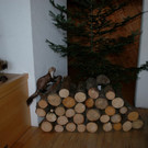 DSC_0047.jpg