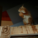 DSC_0058.jpg