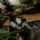 DSC_0063.jpg