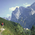Image13.jpg