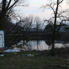 Krötenrettung 2015