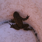IMG_5788.JPG