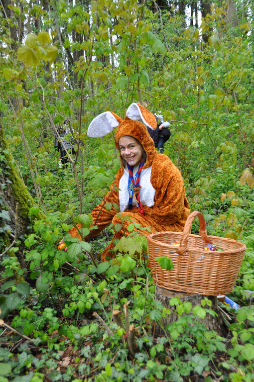 Osterhase Wald.jpg