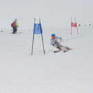 DSC_0350.jpg