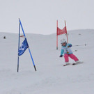 DSC_0482.jpg