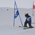 DSC_0484.jpg