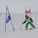 DSC_0497.jpg
