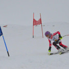 DSC_0611.jpg