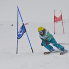 DSC_0666.jpg