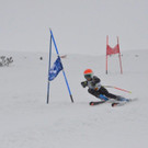 DSC_0704.jpg