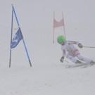 DSC_0774.jpg