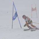DSC_0781.jpg