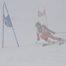 DSC_0817.jpg