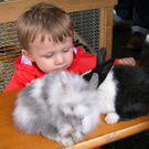 Spielefest2_jpg-1274131189