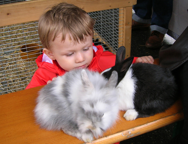 Spielefest2_jpg-1274131189