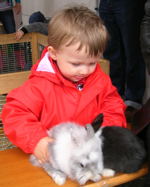 Spielefest14_jpg-1274131250