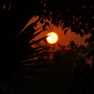 DSC_9895.JPG