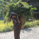 DSCN7010.JPG