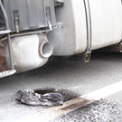 vlcsnap-2015-03-25-14h27m02s76.png