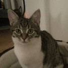 Foto.jpg
