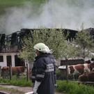 normal_170510brandgasteingmaktivnews_20_26_.jpg
