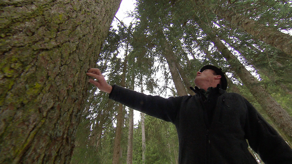 Holz_01.jpg