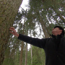 Holz_01.jpg