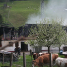 normal_170510brandgasteingmaktivnews_20_31_.jpg