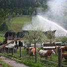 normal_170510brandgasteingmaktivnews_20_32_.jpg