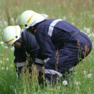 normal_170510brandgasteingmaktivnews_20_49_.jpg