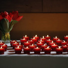 IBD0366-20150328.jpg