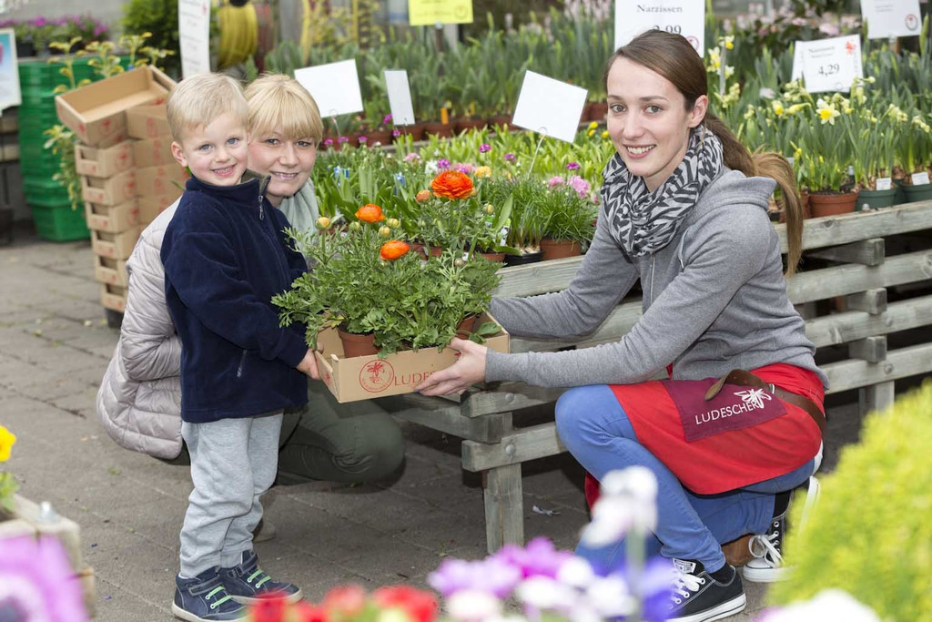 Fr__hlingsblumen33.JPG