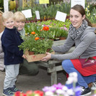 Fr__hlingsblumen33.JPG