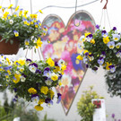 Fr__hlingsblumen01.JPG