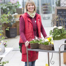 Fr__hlingsblumen07.JPG