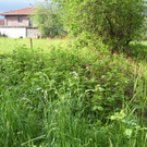 100_9683_jpg-1274174772