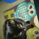 Blacky 