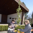 Palmbuschbinden Klaus