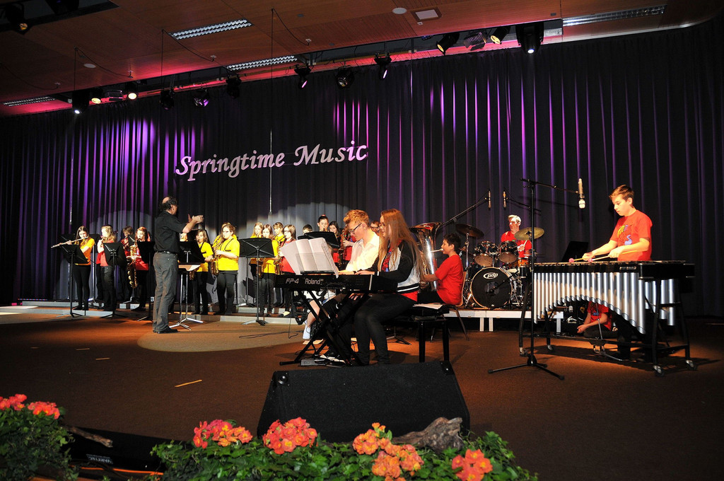MMS_Fruehjahrskonzert_2015_08.jpg